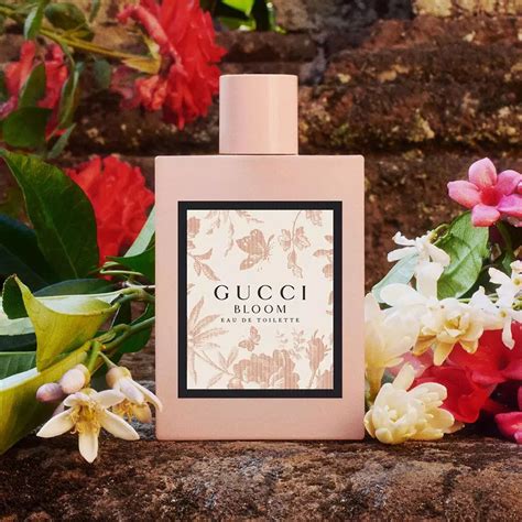 gucci bloom eau|Gucci Bloom fragrantica.